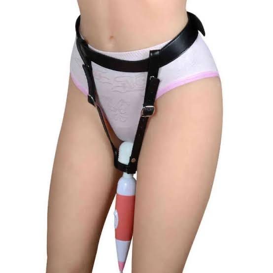 Leather harness